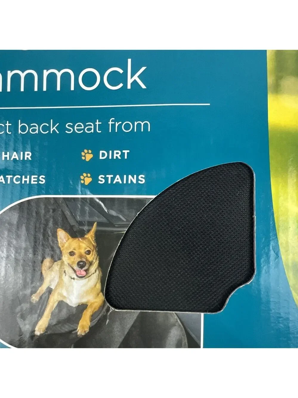 Paws First paws first